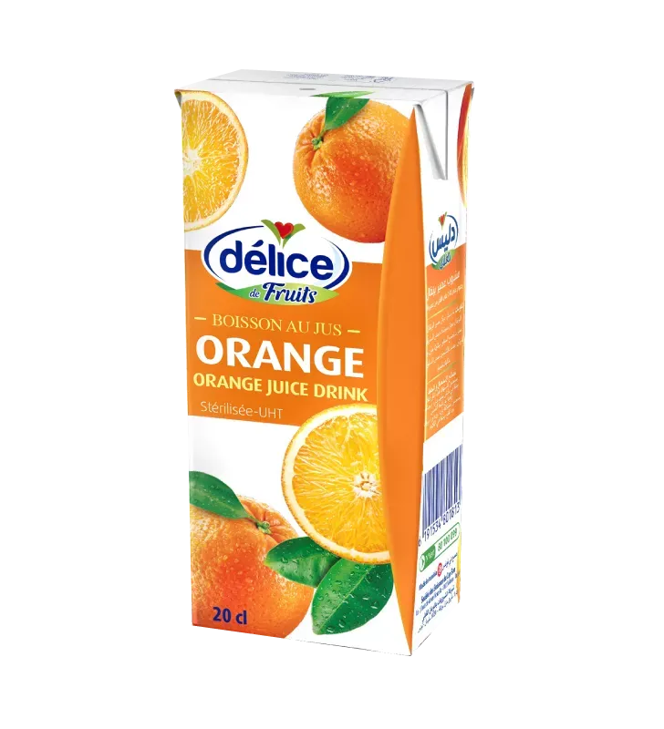 DELICE ORANGE JUICE 24X200ML