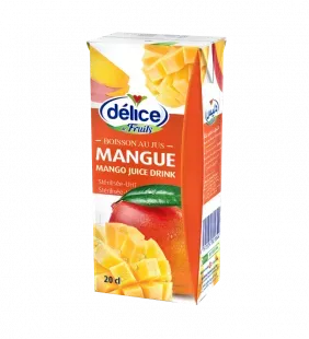 DELICE MANGO JUICE 24X200ML