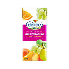 DELICE MULTI-VITAMIN JUICE 24X200ML