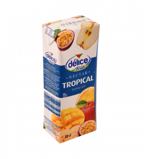 DELICE TROPICAL JUICE 24X200ML