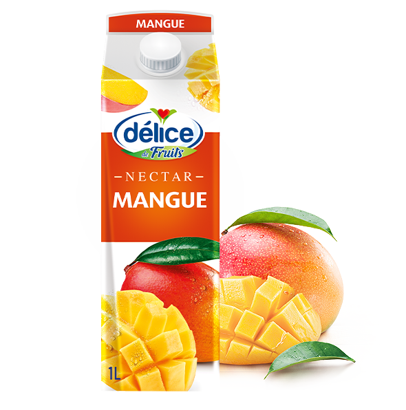 DELICE MANGO JUICE 6X1L