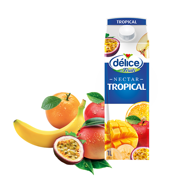 DELICE TROPICAL JUICE 6X1L