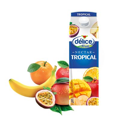 DELICE TROPICAL JUICE 6X1L