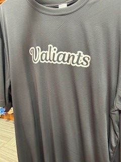 HOCKEY GREY SS PERFORMANCE TEE