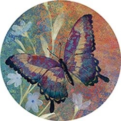 COLORFUL BUTTERFLY CAR COASTER