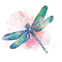 COASTER CAR-DRAGONFLY
