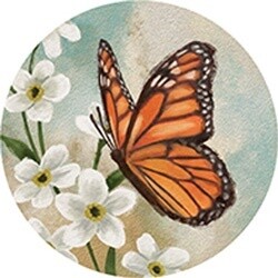 CAR COASTER BUTTERFLY
