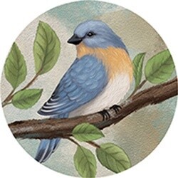 CAR COASTER BLUE BIRD