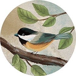 CAR COASTER CHICKADEE