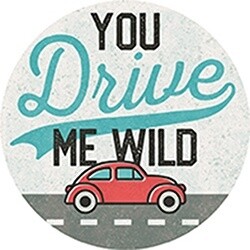 CAR COASTER DRIVE ME WILD