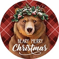 BEARY MERRY CAR COASTER