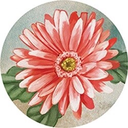 COASTER CAR- RED DAISY GERBERA