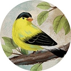 CAR COASTER GOLD FINCH