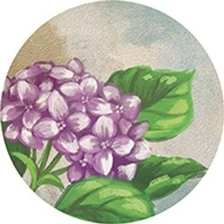 CAR COASTER LILAC