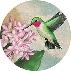 CAR COASTER HUMMINGBIRD