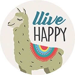 COASTER CAR-TRENDY/LLIVE HAPPY