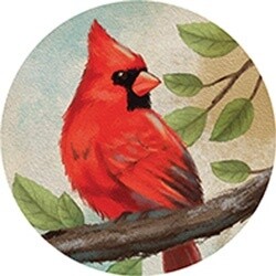 COASTER CAR-NATURE/CARDINAL