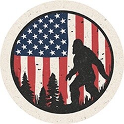 COASTER CAR-SASQUATCH AMERICA