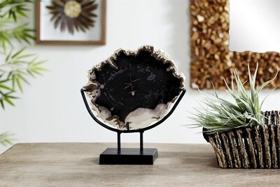 PETRIFIED WOOD FOSSIL STONE SCULPTURE 9&quot;W, 12&quot;H