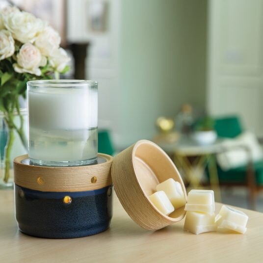 LAND AND SEA 2 IN 1 DELUXE MELTER