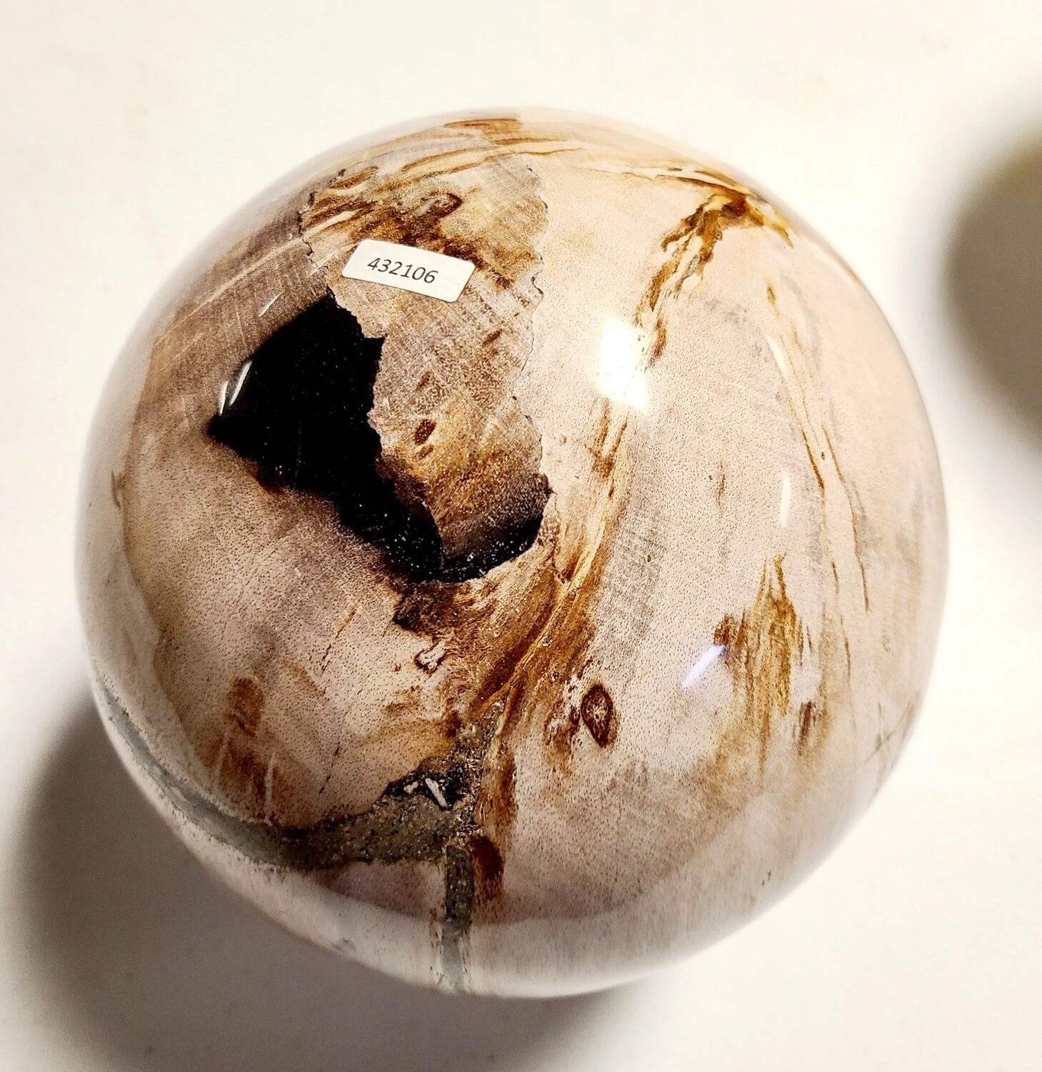 PETRIFIED WOOD BALL