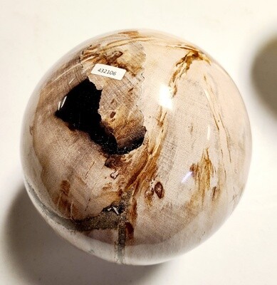 PETRIFIED WOOD BALL