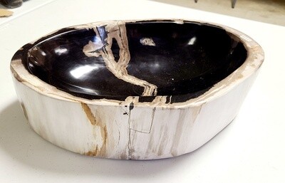 LARGE PETRIFIED BOWL