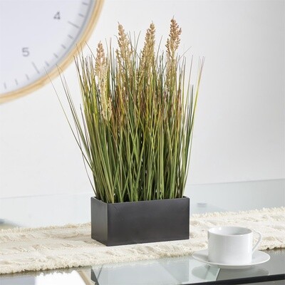 GREEN GRASS IN BLACK POT