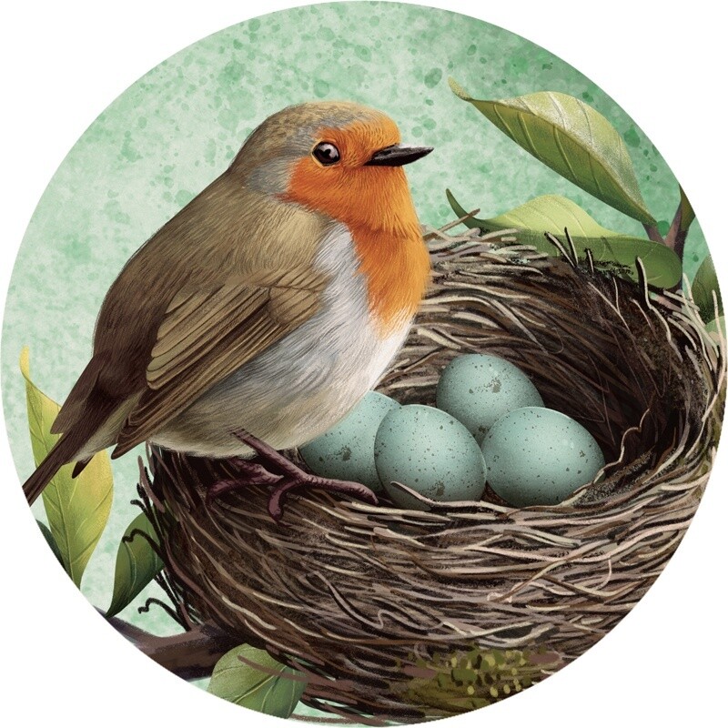 CAR COASTER NATURE ROBIN