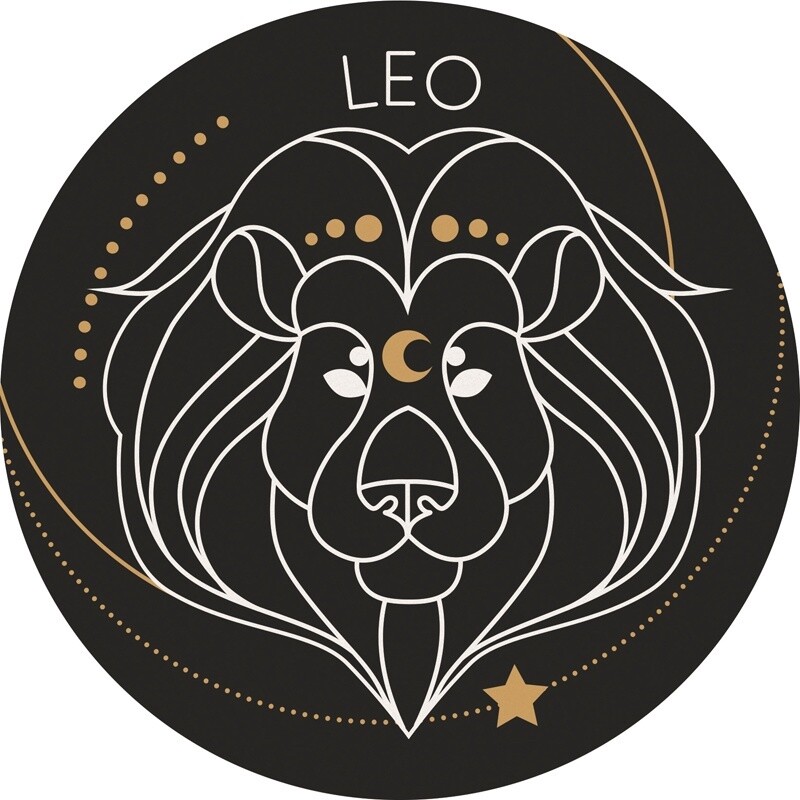 CAR COASTER LEO