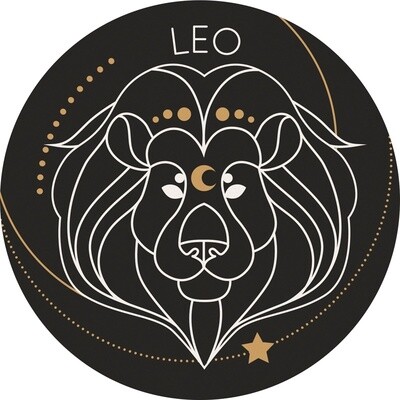 CAR COASTER LEO