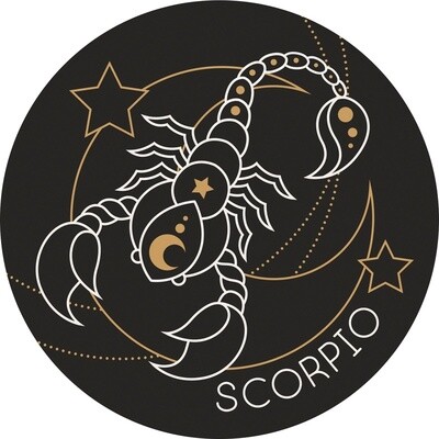 CAR COASTER SCORPIO