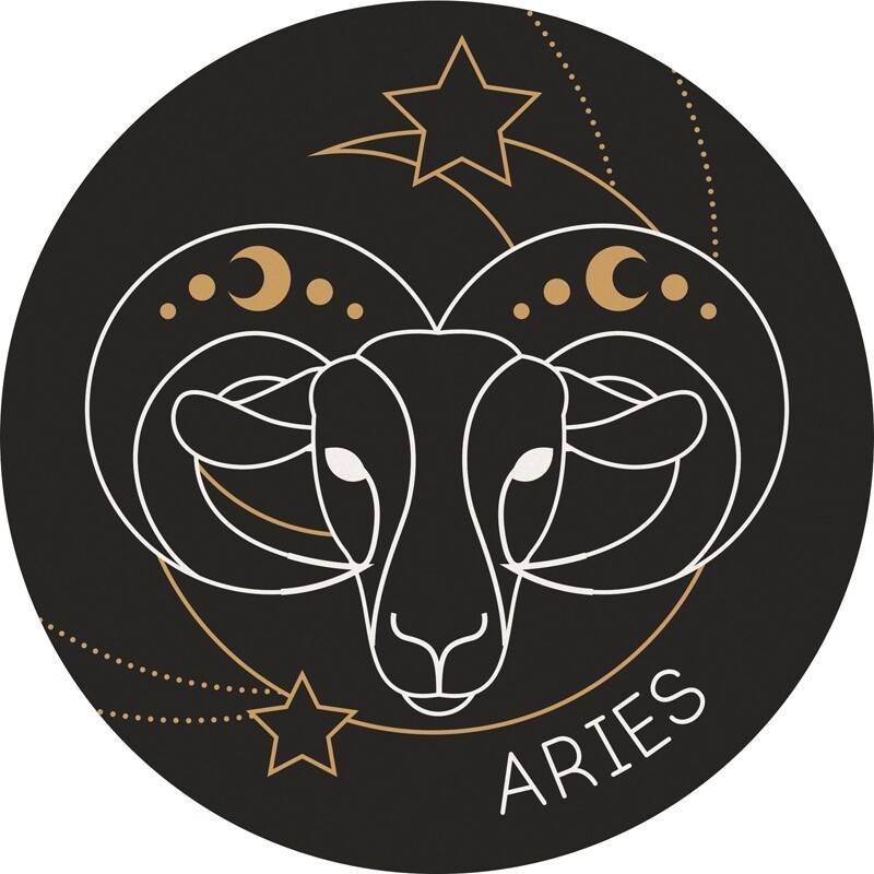 CAR COASTER ARIES