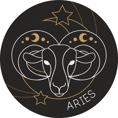 CAR COASTER ARIES