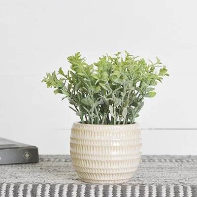BABY LEAVES PLANT IN CERAMIC POT