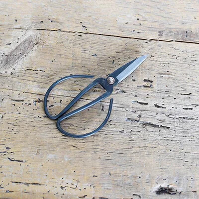 PLANT SCISSORS