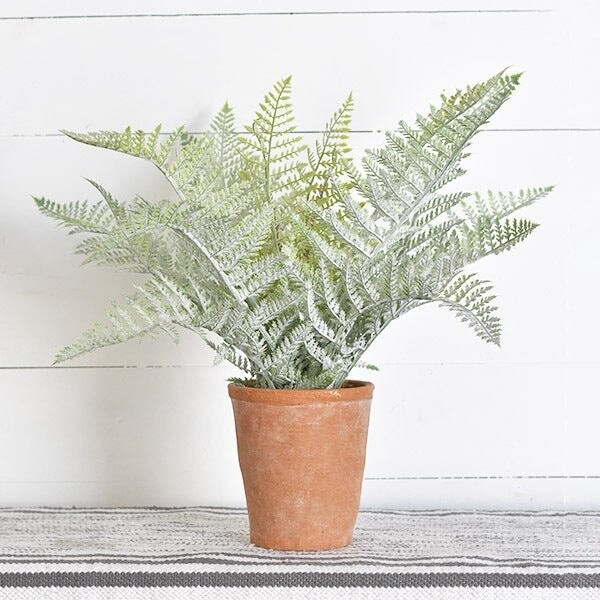 20&quot; FROSTED FERN IN TERRA COTTA POT