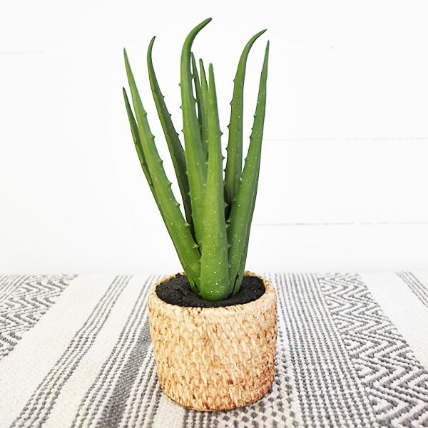 13&quot; ALOE IN WEAVE POT