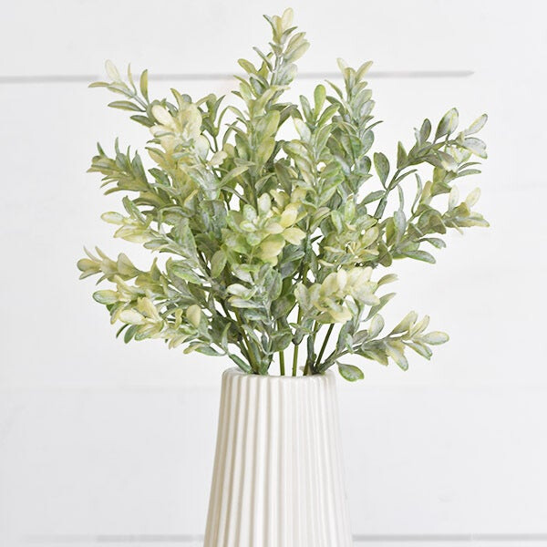 13.5&quot; BUXUS BUSH