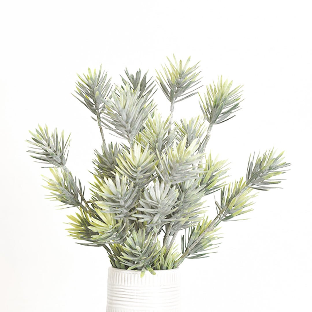 14&quot; PODOCARPUS STEM