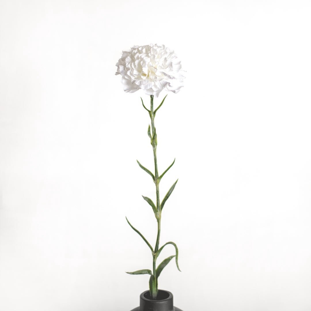 WHITE CARNATION SPRAY