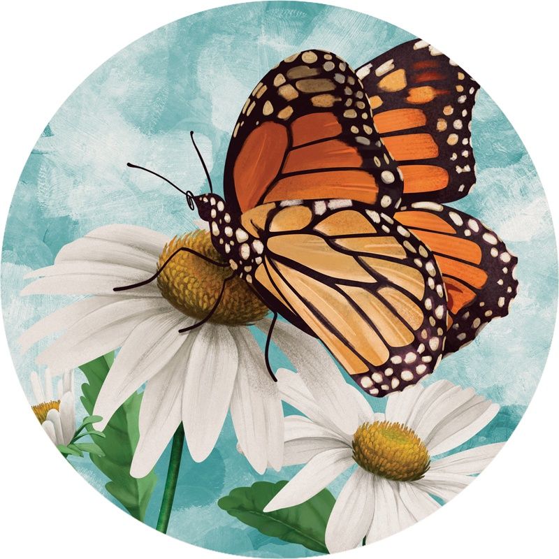 NATURE MONARCH CAR COASTER