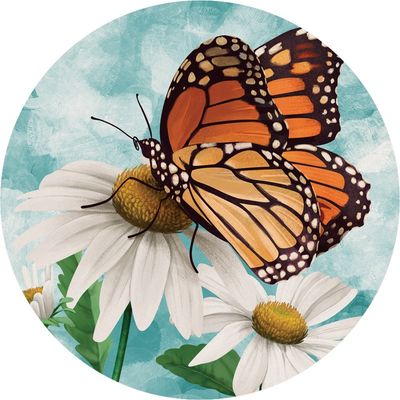 NATURE MONARCH CAR COASTER