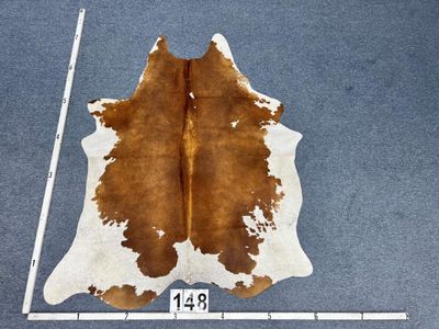 RED BROWN/WHITE SP148 COWHIDE