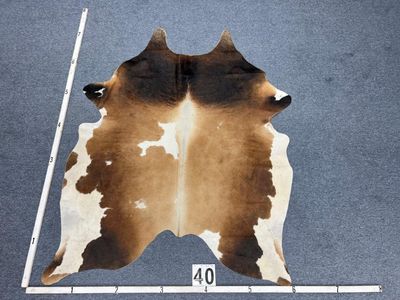 BROWN WHITE SP40 COWHIDE