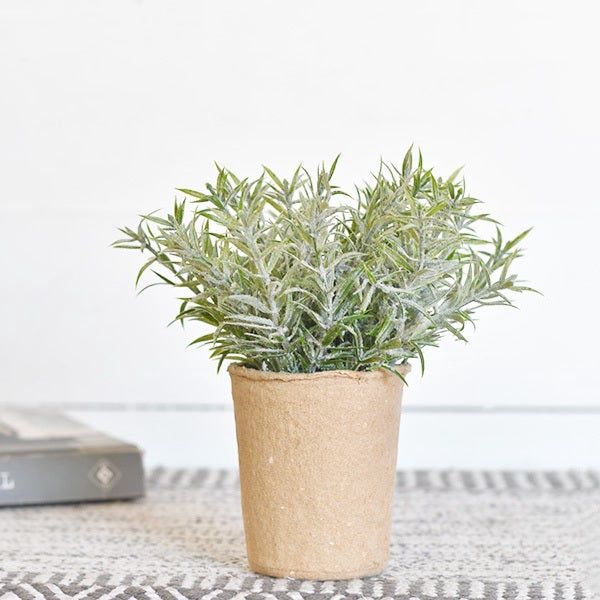 7.25&quot; DUSTY GREENS IN PAPER POT