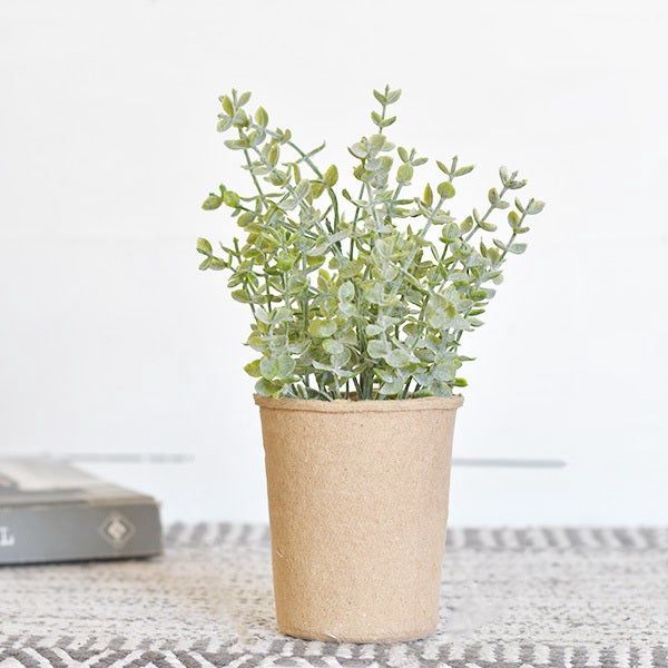 9.5&quot; EUCALYPTUS IN PAPER POT
