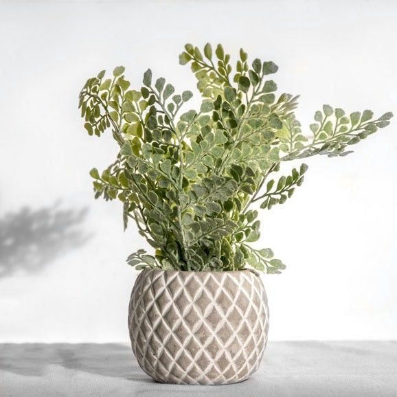 11&quot; FERN IN CONCRETE POT