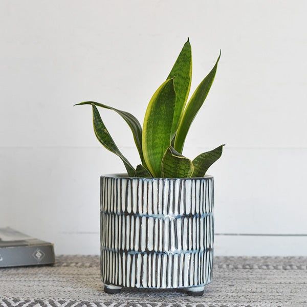 5.43&quot; BLUE STRIPE CERAMIC PLANTER