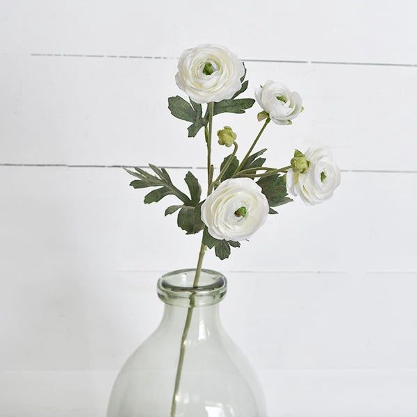 24&quot; WHITE RANUNCULUS STEM